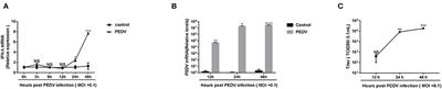 The Coronavirus PEDV Evades Type III Interferon Response Through the miR-30c-5p/SOCS1 Axis